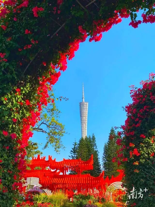南方+ 李菀瑄 制图