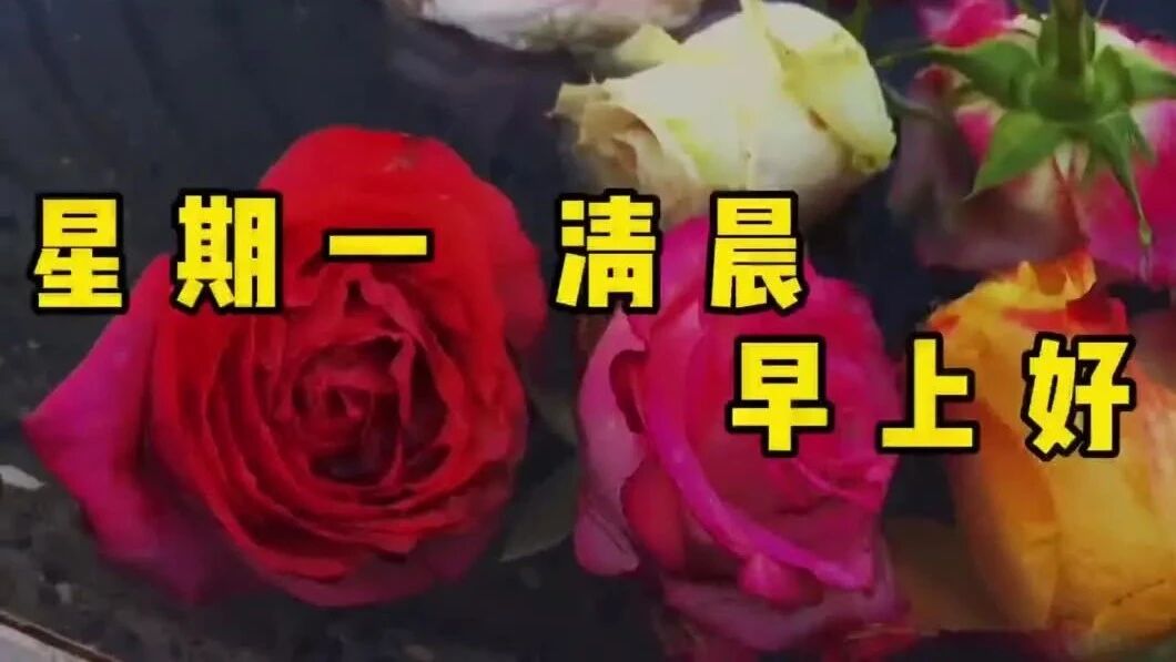 愿我在乎的人，一生平安，一世健康！新周愉快！