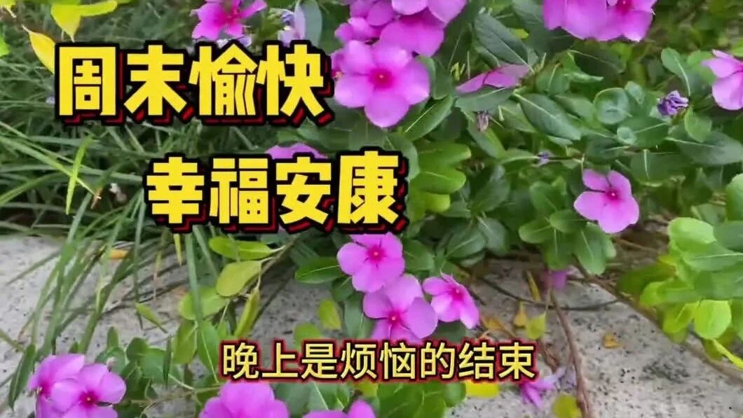 不用打字就可以聊天的图片【上】