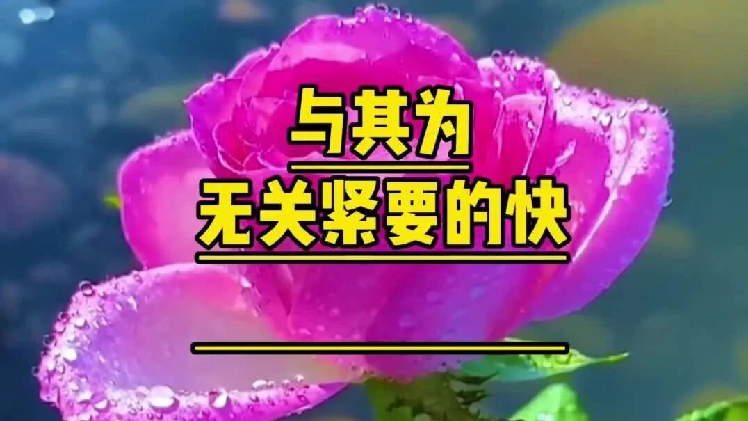 周末愉快！高高兴兴又一天，阳光明媚在心间！