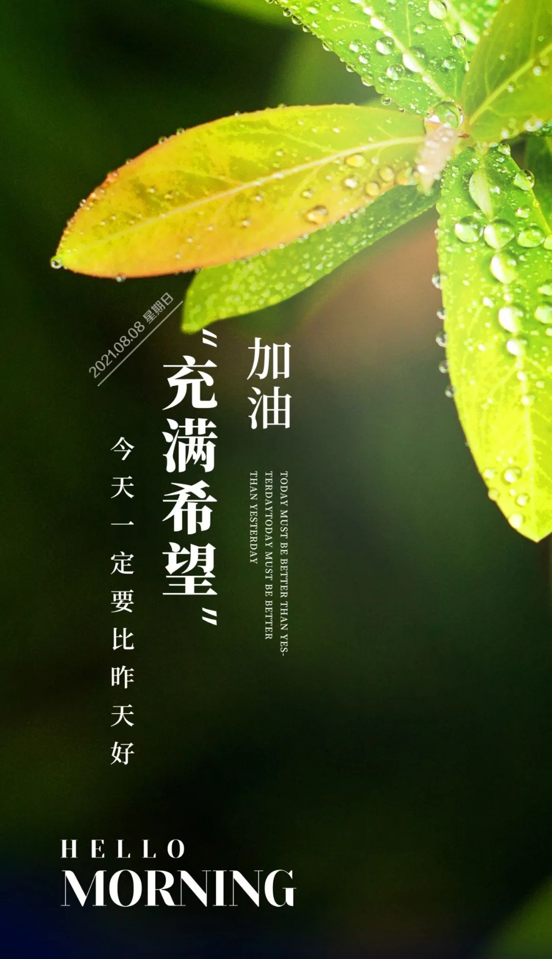 8月8日早安正能量朋友圈很棒句子2021早安问候语正能量图片带字