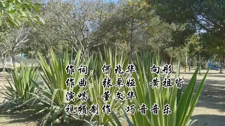 每日一歌，MV《小草》    董文华演唱-1