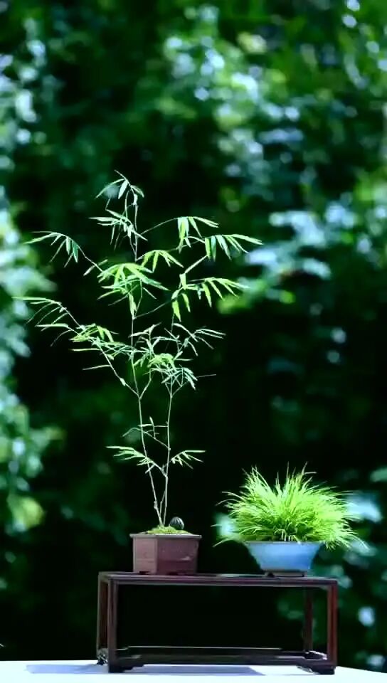 我最爱听的一首歌；培养孩子是一个系统工程，要在多方面共同的努力下，孩子才会、才能取得成功。孩子的成功就是我们最大的成功-1