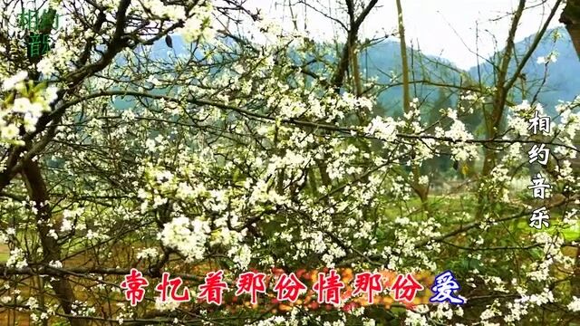 每日一歌，MV《昨夜星辰》  高胜美演唱-1