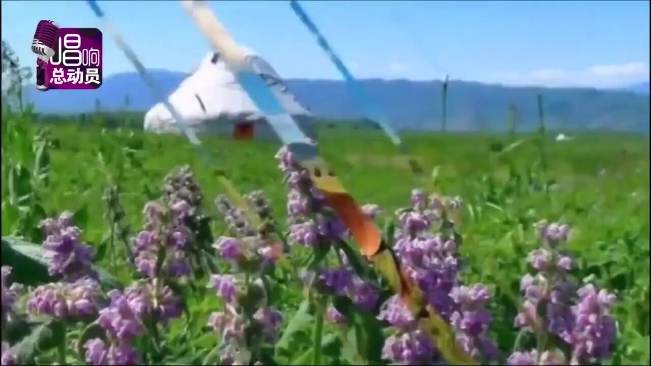 每日一歌，MV《把你带回我的草原》 一首动听优美的草原歌曲-1