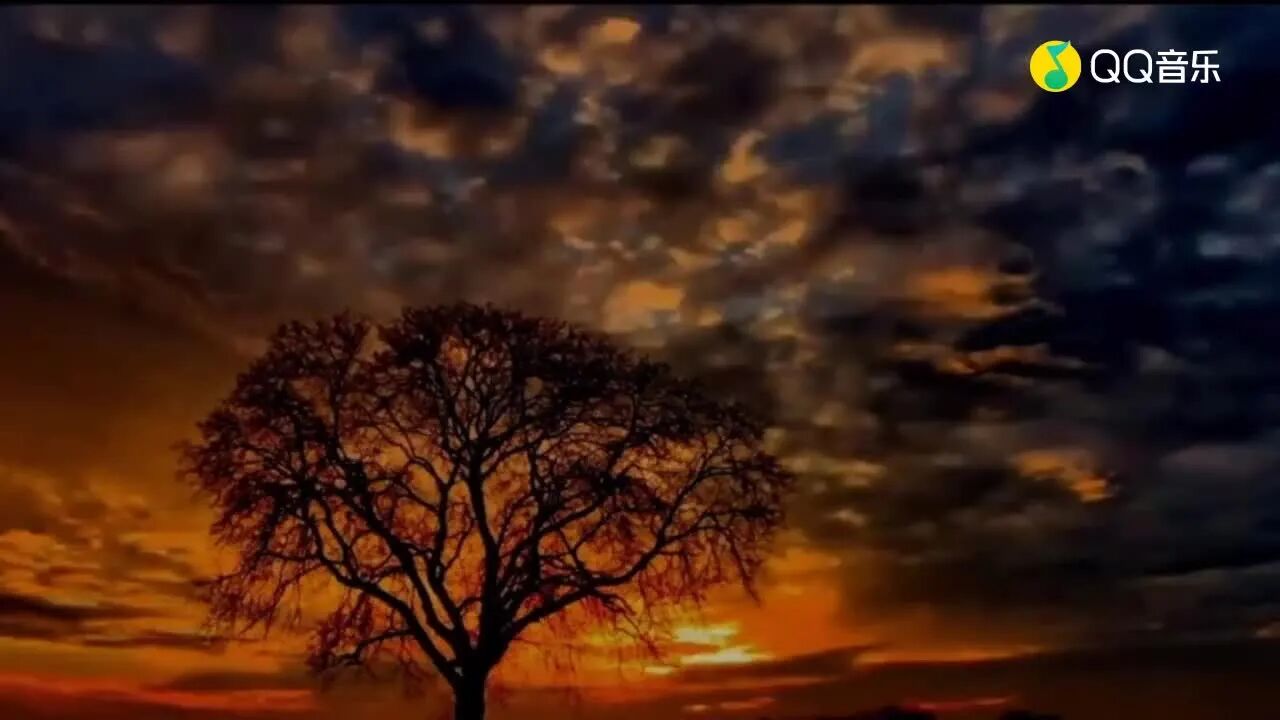 每日一歌，MV《可可托海的牧羊人》-1