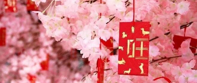 揭秘合婚的原则与方法