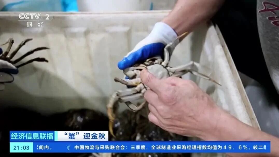女子发现母亲在大米里藏了1000元现金,月入2万元！这个岗位太缺人，网友：我现在速成