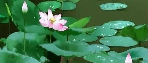 偏星多旺，不安现状，喜欢追逐名利