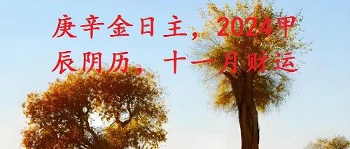 庚辛金日主，2024甲辰阴历，十一月财运