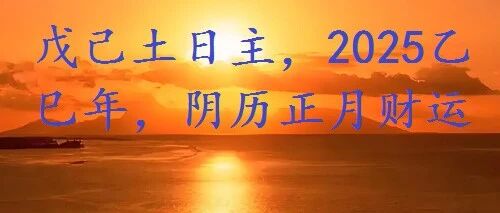 戊己土日主，2025乙巳年，阴历正月财运