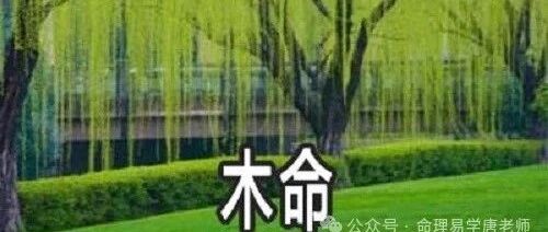 日干木命，2024甲辰年，辛未月财运