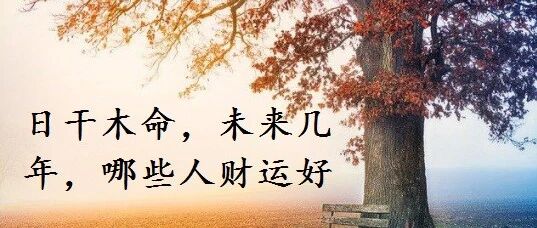 日干木命，未来几年，哪些人财运好
