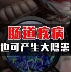 益生菌：5种习惯最“伤”肠道，6步打赢保卫战！