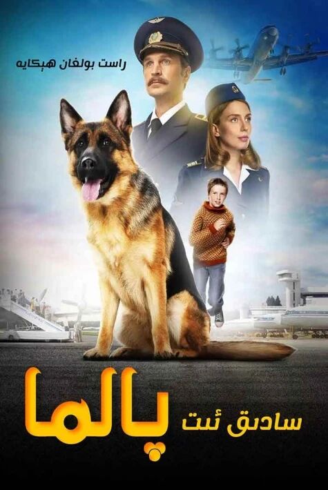 سادىق ئىت پالما