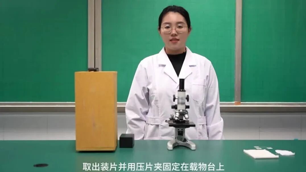 显微镜使用教学：初学者掌握基本操作与观察技巧的实验指导