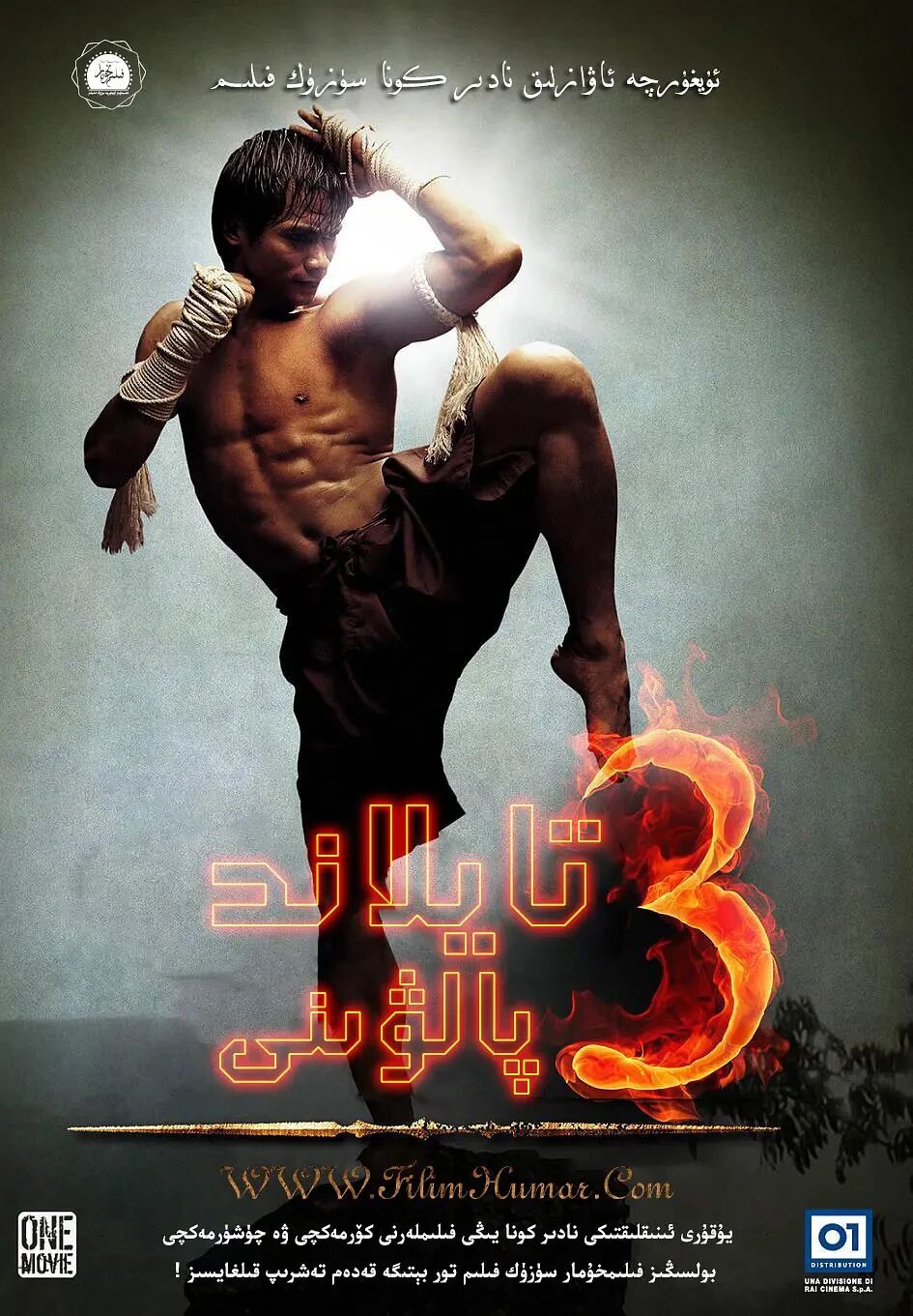 127  پالۋىنى 3