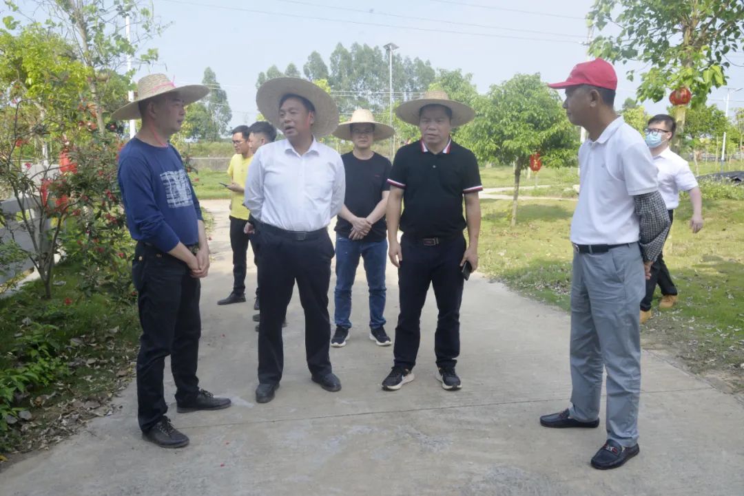 5月3日,湛江市委常委,雷州市委书记张仁建率队到客路镇调研人居环境