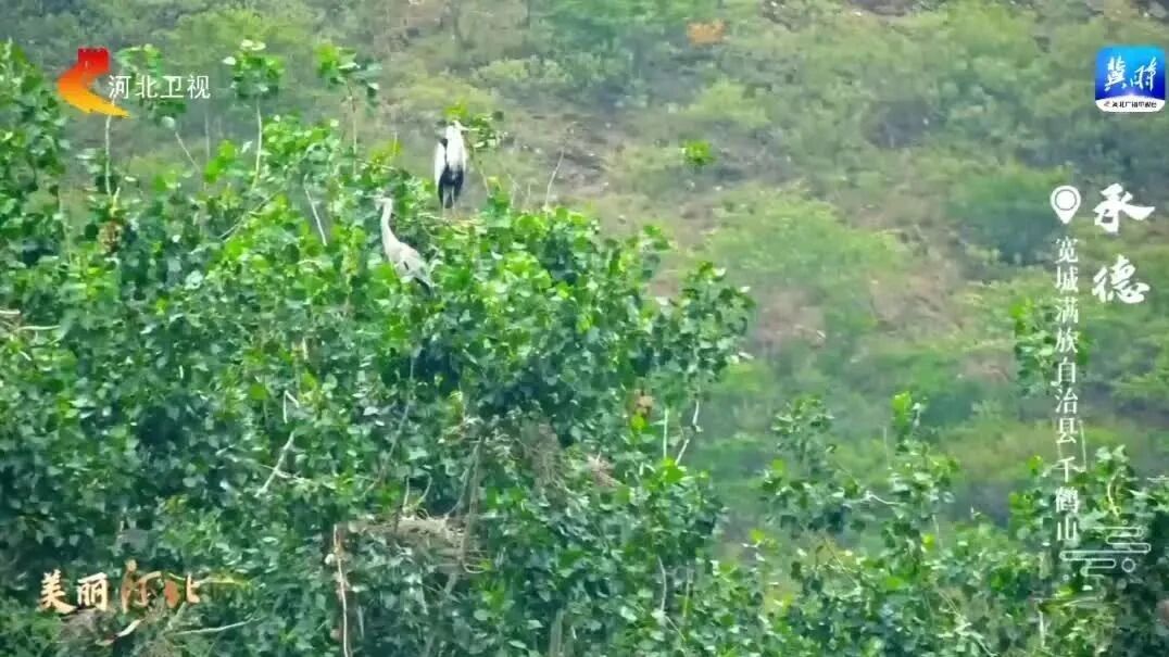 你早，河北｜中方给了布林肯哪几个关键词；河北再添一所高校；人民币可以买港股了；北约峰会会邀请乌克兰正式加入吗？-2