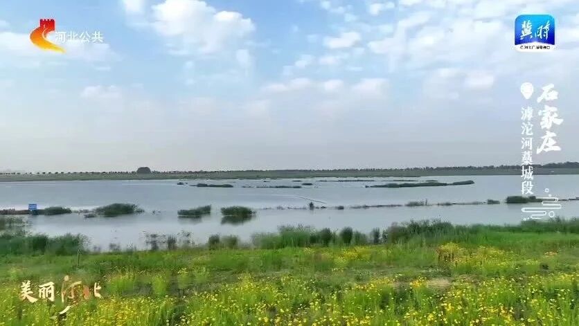 你早，河北｜今天河北哪里冲击43℃；淄博烧烤“凉”了吗；我国海洋辐射环境监测如何安排？“美国不能再满世界充当教师爷了”-4