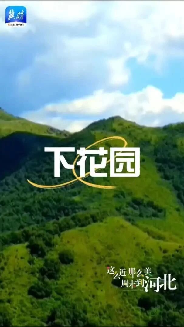 你早，河北｜你的月供能省多少；河北有多少所高等学校；“马云背后的男人”走向台前；拜登跟基辛格“不相上下”？-1