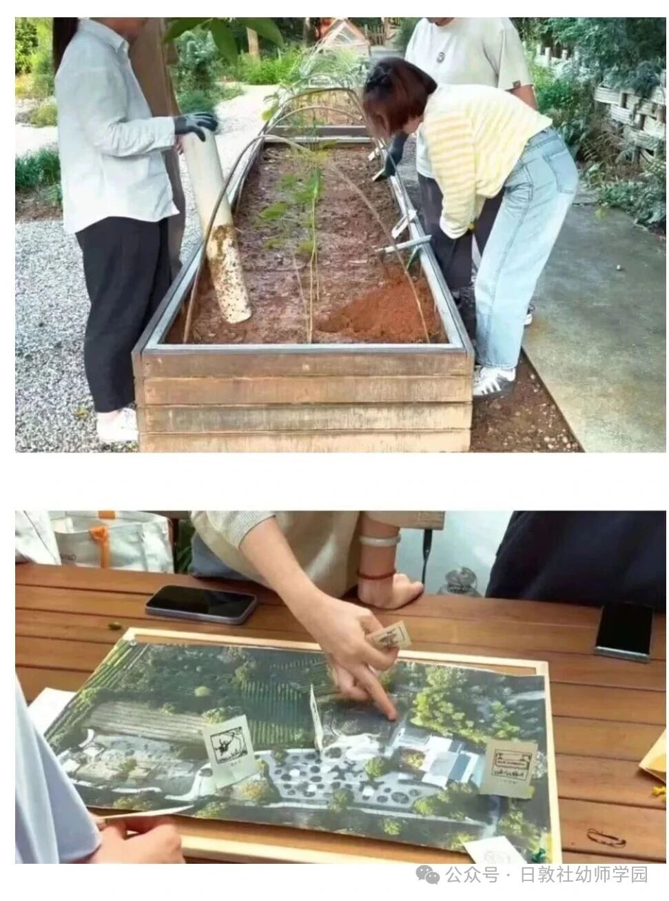 用一片土地、一粒种子教你搭建“有生命力”的自然教育课程体系-幼师课件网第26张图片