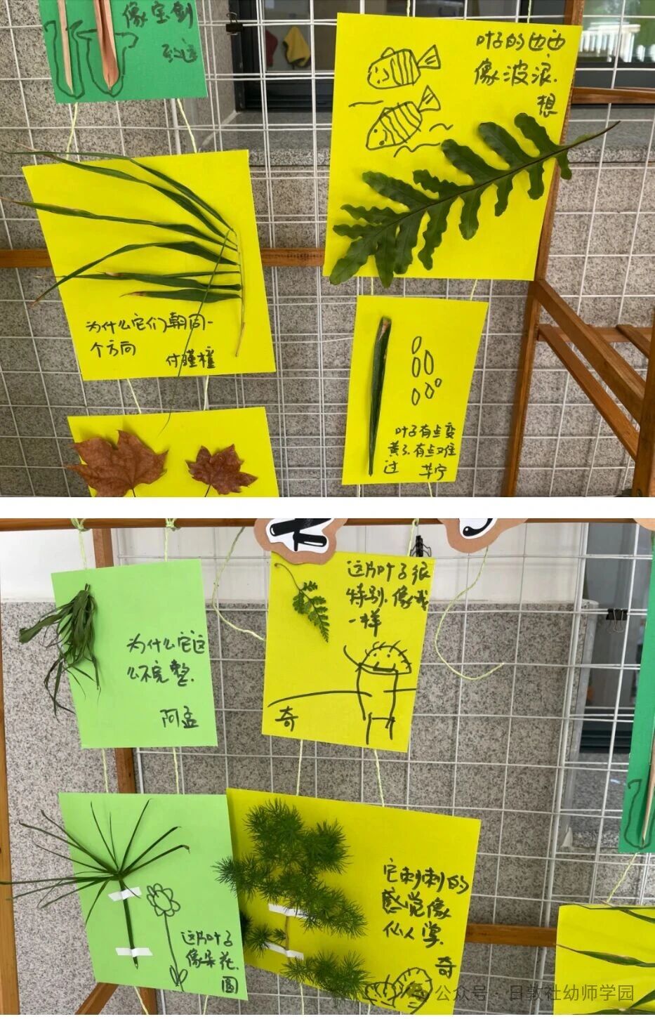 幼儿园墙面环创要多一些生活的随意性、松弛感-幼师课件网第10张图片