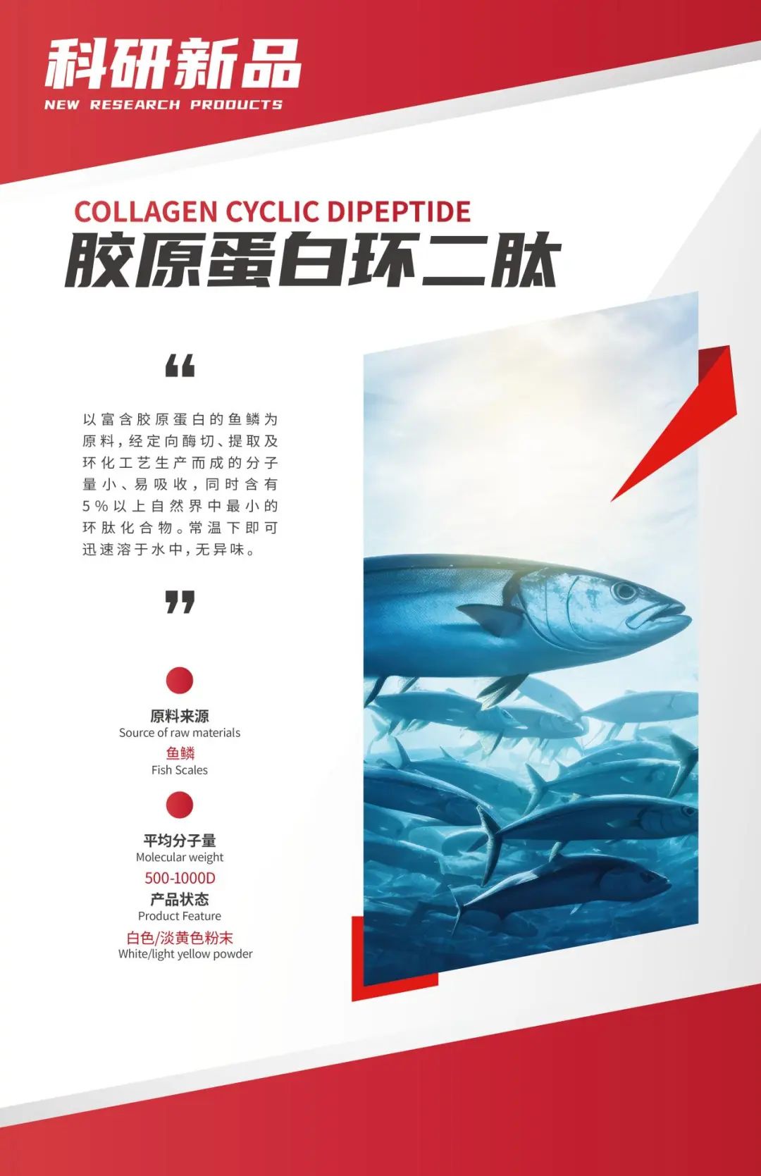 微信图片_20250506135522
