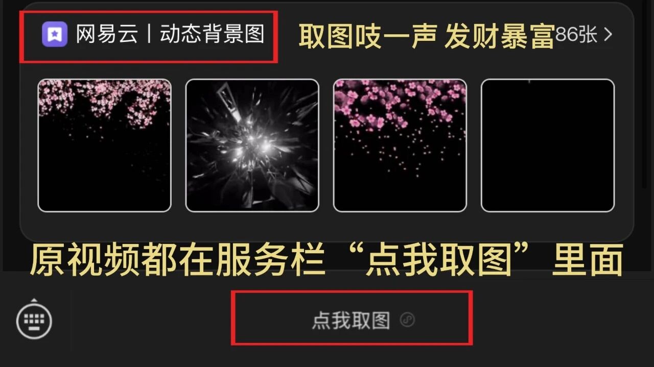 网易云樱花动态背景图