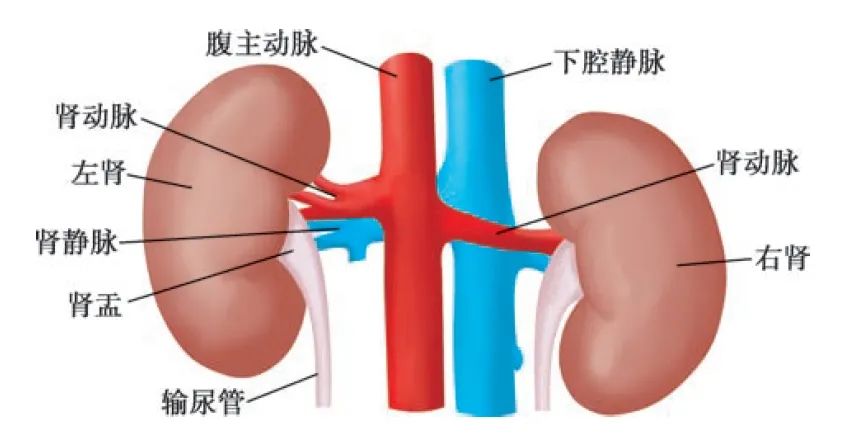 配图1.png
