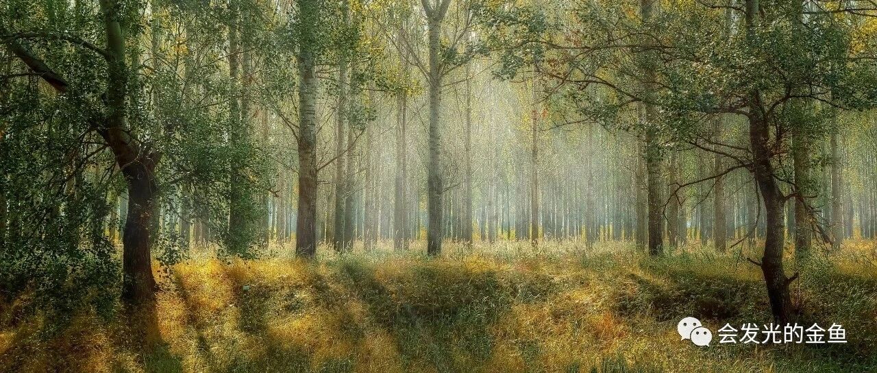 《后浪》：“如果一个人有了负面情绪，一定要用行动去化人，逃避、拖延，都会对身体有极大的伤害。”