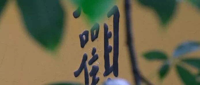 学佛人，每日至少10次这样观照！