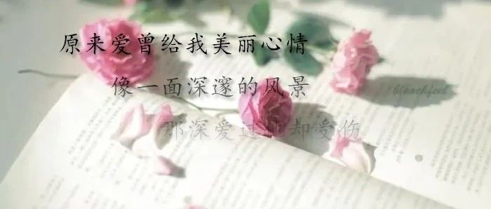 美丽心情歌词 本多RURU演唱歌曲《美丽心情》歌词 | 每日推荐单曲