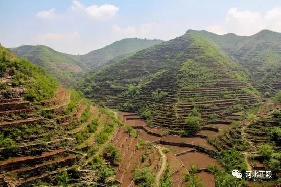 太行山石堰梯田的典型代表今天让我们一起游览—河北涉县旱作梯田