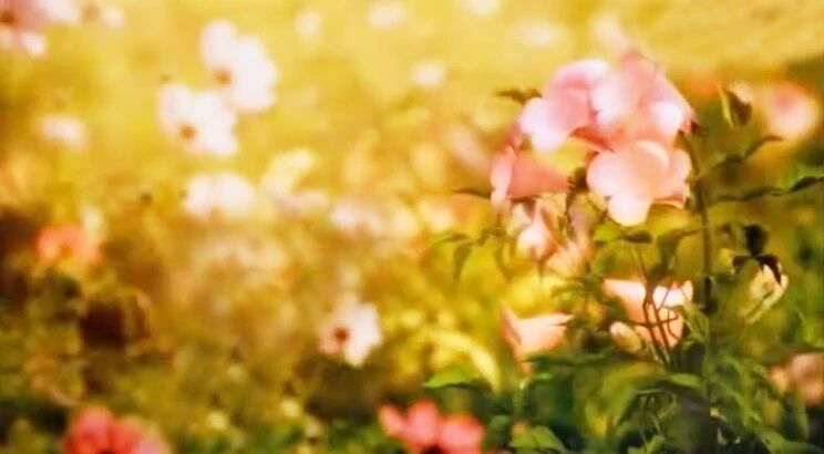 收录于合集⭐美好的八月，最美的祝福送给您！