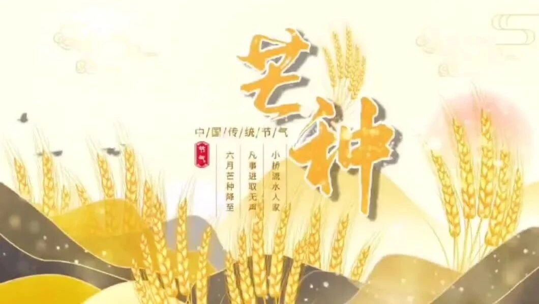 【 二 十 四 节 气 之 】——芒种-1