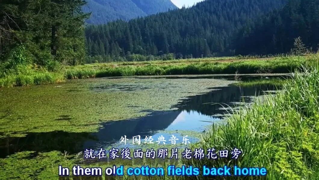 经典美国乡村歌曲《棉花田》，清水乐团演唱