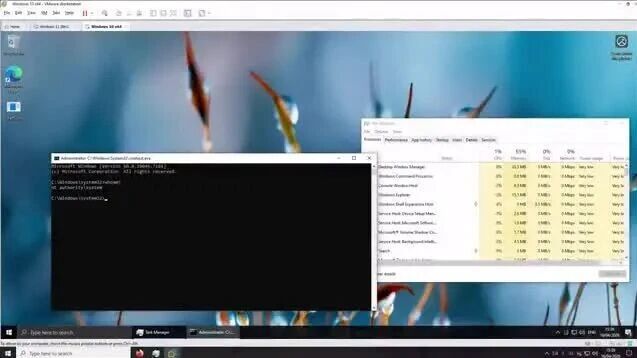  您的浏览器不支持 video 标签 