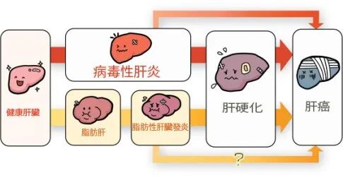 丰硕 | 齐鲁细胞首款干细胞药物针对失代偿期肝硬化临床试验启动会在京顺利举行