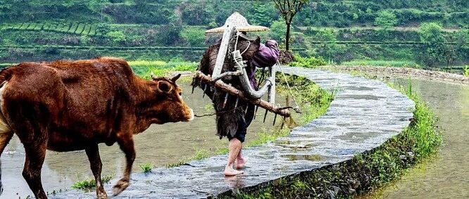 2026丙午流年应该注意什么？