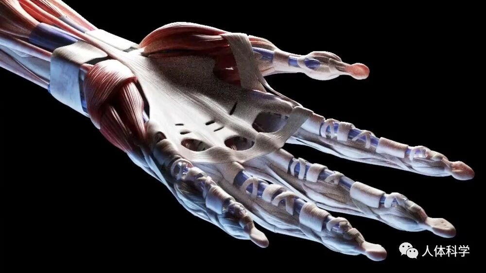 要叫你施舍的事行在暗。