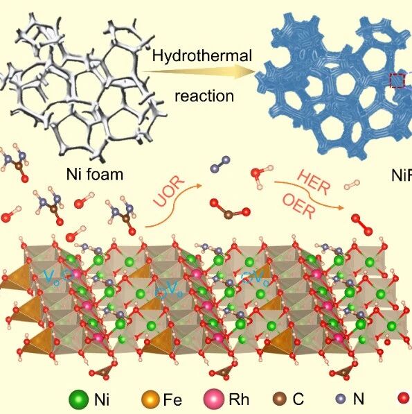 华中科技王春栋 Rh调控超薄nife Ldh纳米片实现高效的水分解制氢和尿素催化反应 微信公众号能源学人 锂电界 电池行业资讯 关注锂电 电动车 储能 新材料技术及产业动态