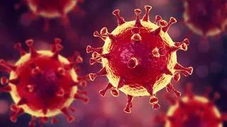 an illustration of the MERS virus, a type of coronavirus