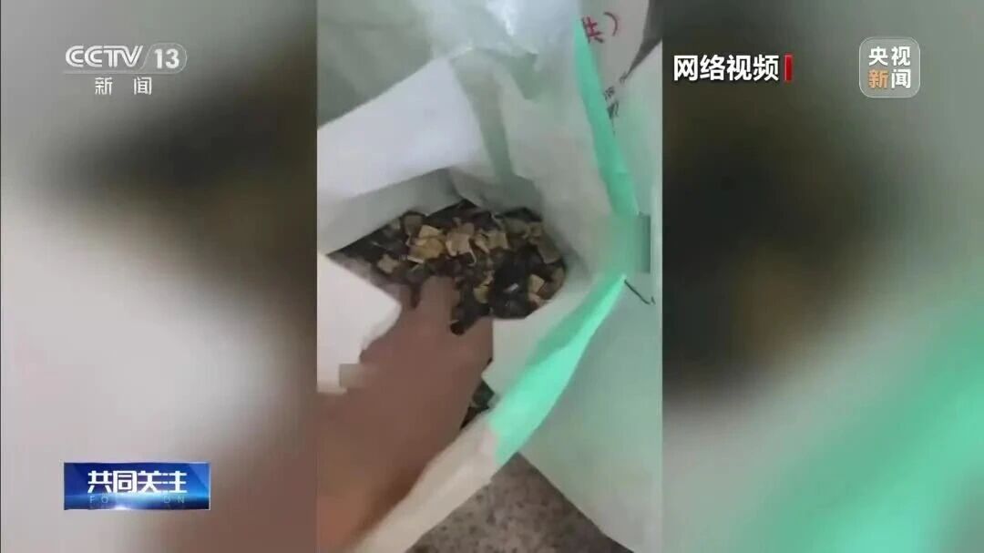  您的浏览器不支持 video 标签 