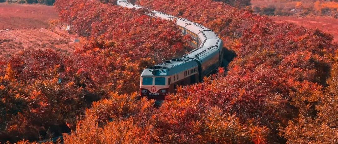别再只去新疆和西藏了，这里藏着中国最美的秋天！