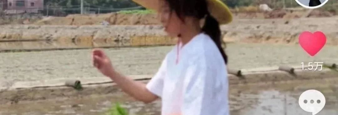 麦家琪放弃光环,泥泞田间两小时插五分地,背后隐藏着多少不为人知的心路历程?