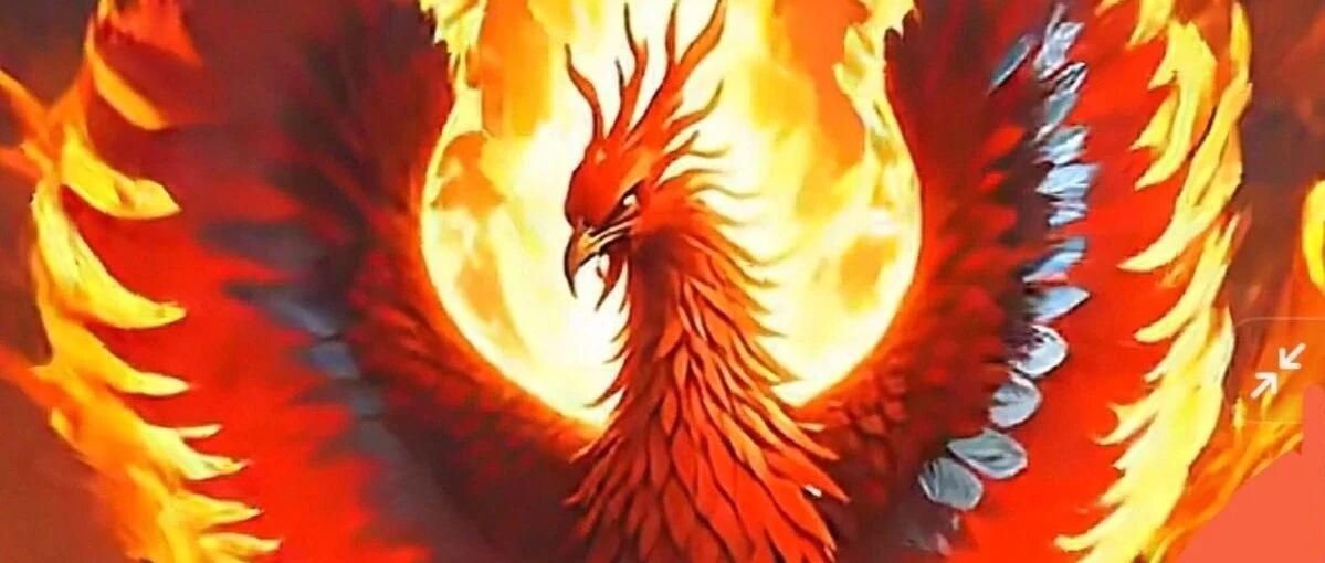 命理真从假从及不从的分析原理