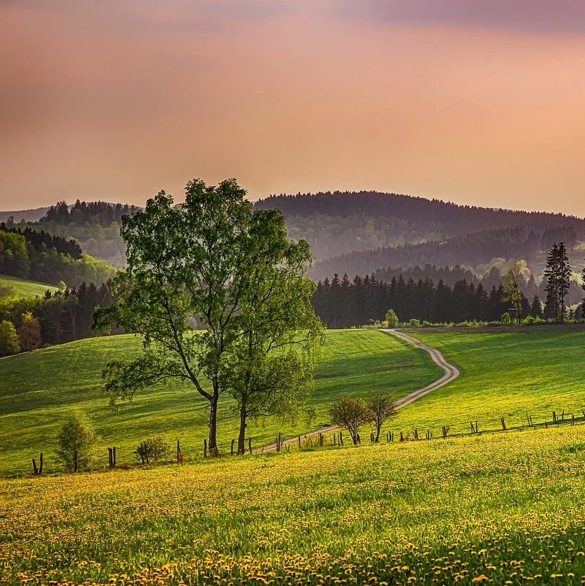 每日一禅：驾驭心念