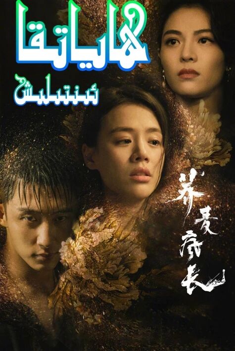 ھاياتقا  ئىنتىلىش