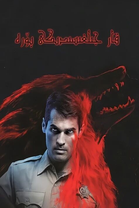  قارا جىلغىسىدىكى بۆرە